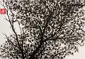 encre de chine_0006